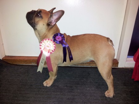 Zeldas 2:a HP och Bäst i ras